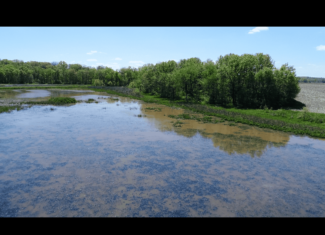 Pristine Schuyler County MO Rowcrop and Hunting Haven FOR SALE!